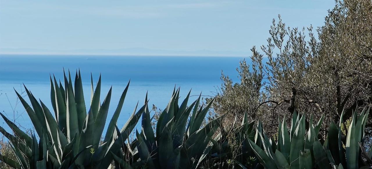 Campo Agave Luxury Tents Sayalonga Kültér fotó