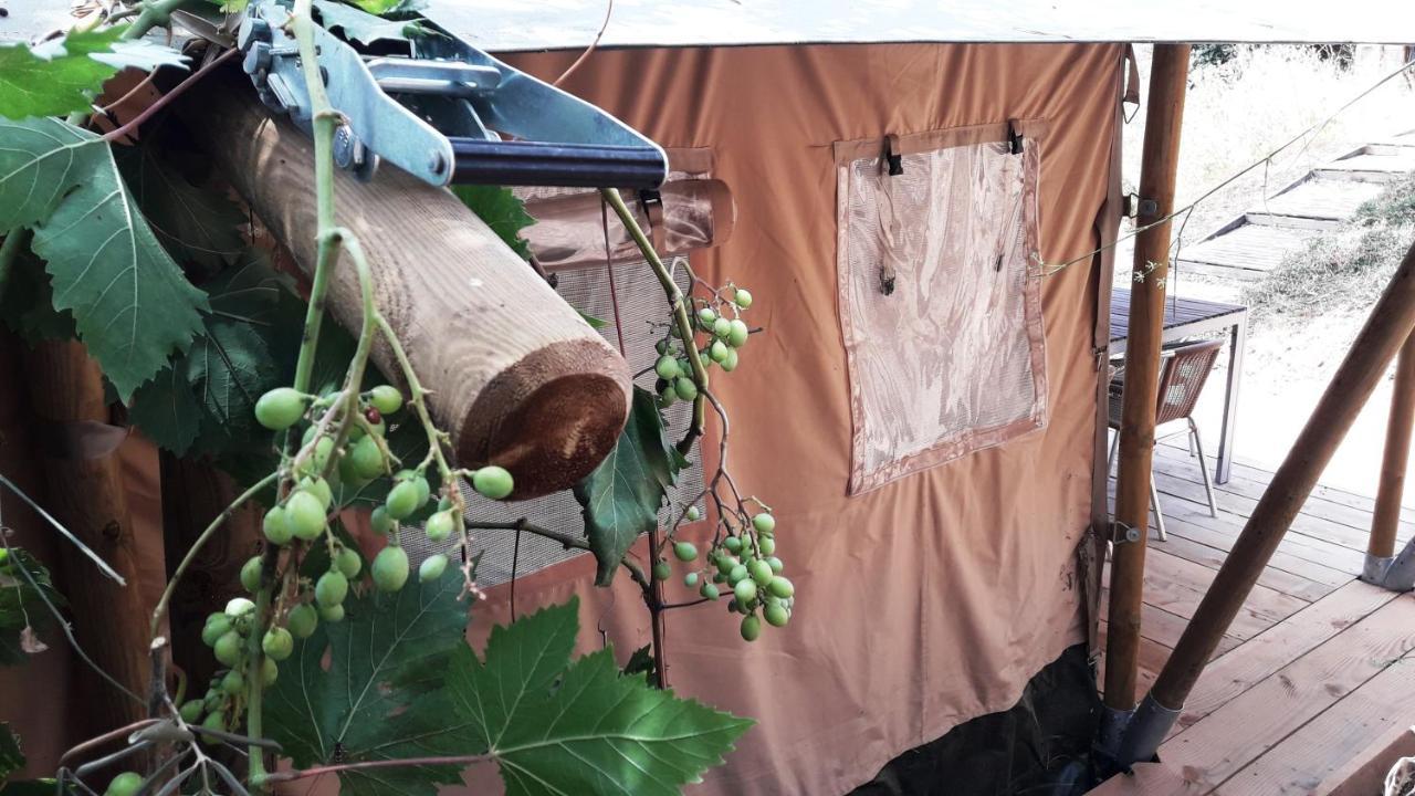Campo Agave Luxury Tents Sayalonga Kültér fotó