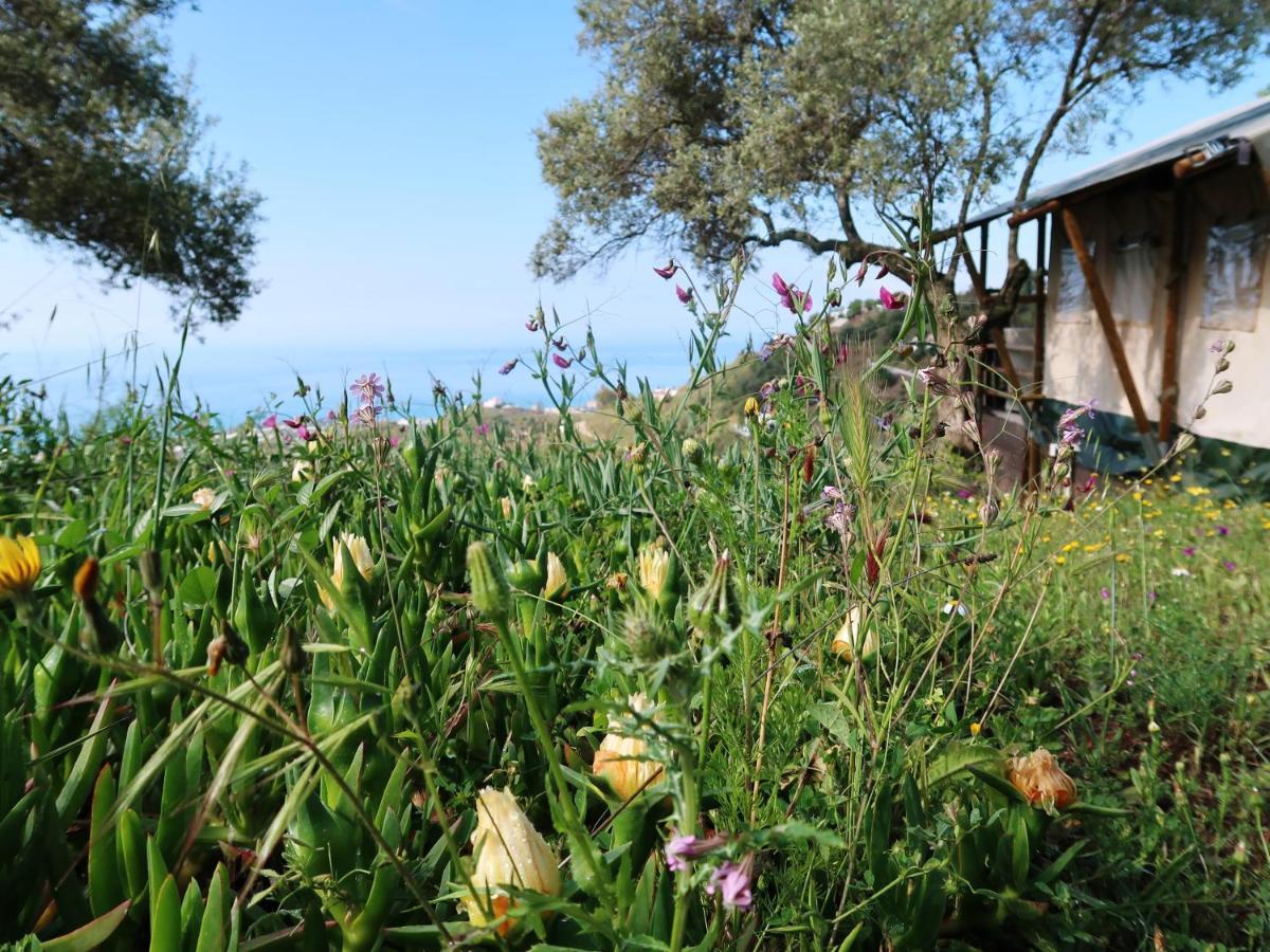 Campo Agave Luxury Tents Sayalonga Kültér fotó