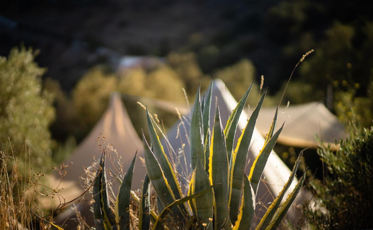 Campo Agave Luxury Tents Sayalonga Kültér fotó
