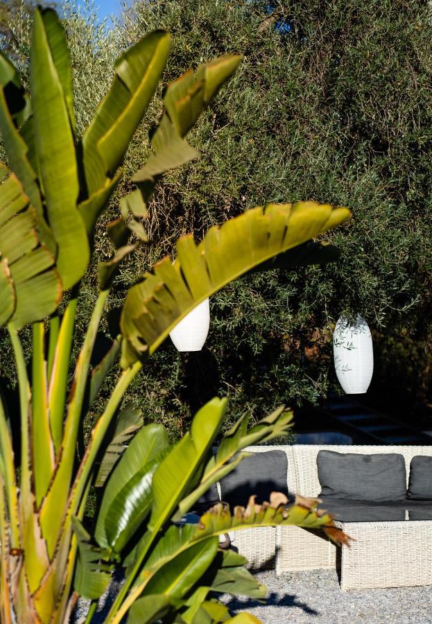 Campo Agave Luxury Tents Sayalonga Kültér fotó