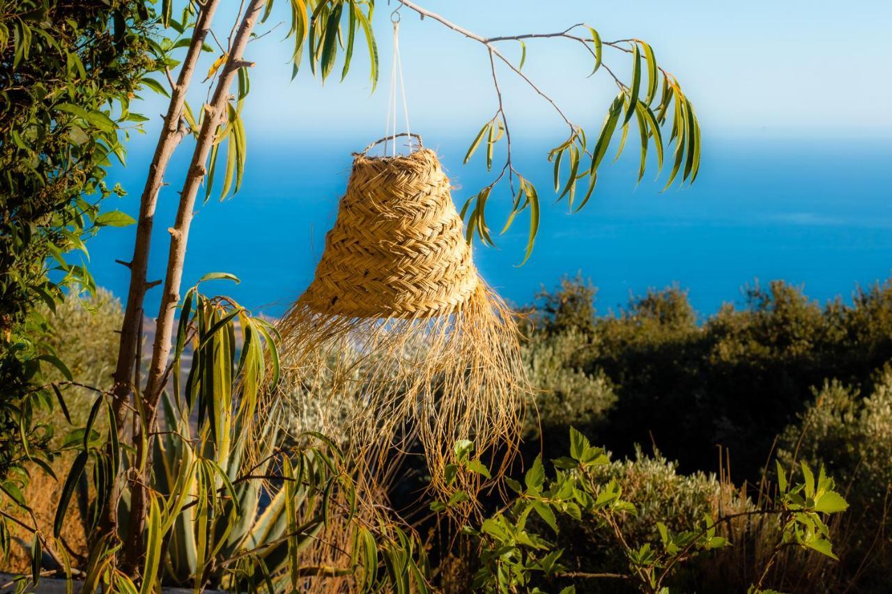Campo Agave Luxury Tents Sayalonga Kültér fotó