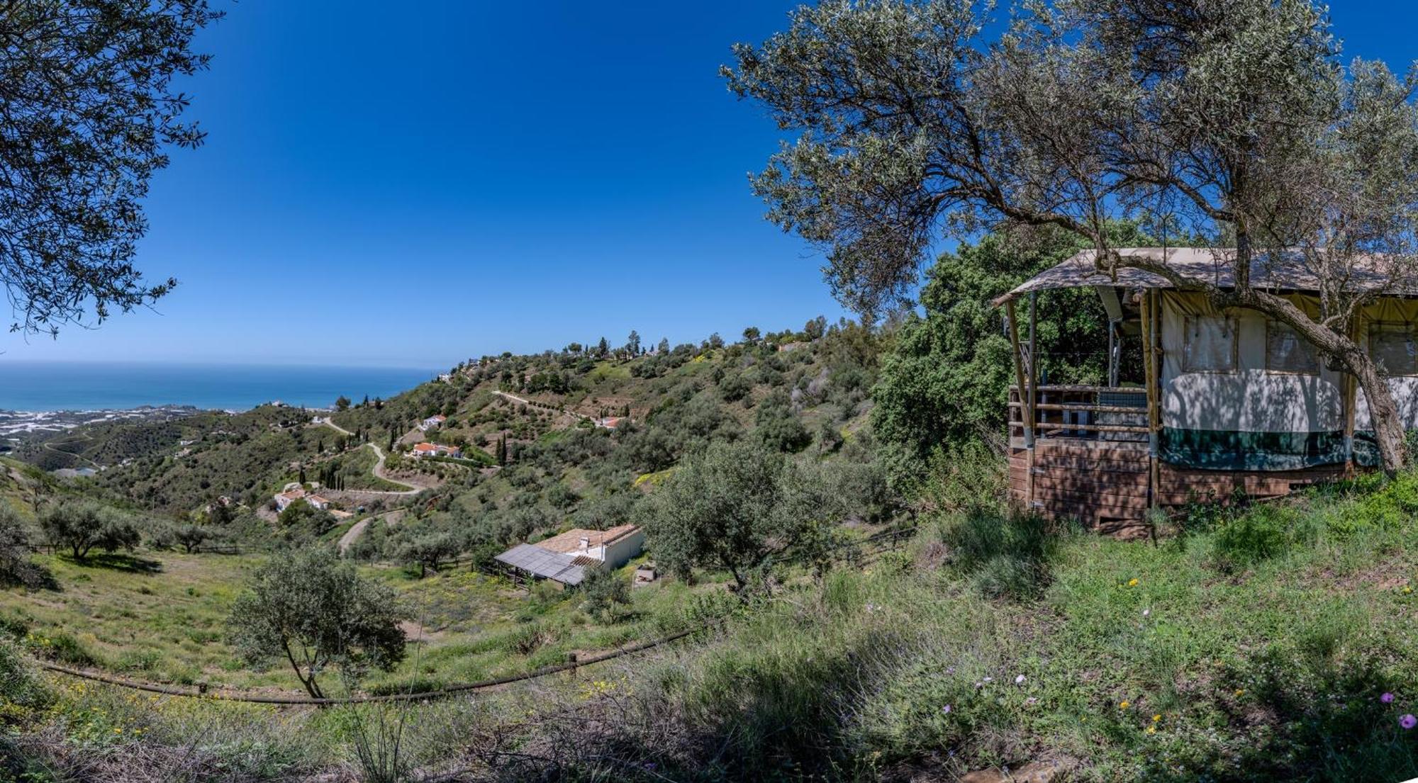 Campo Agave Luxury Tents Sayalonga Kültér fotó